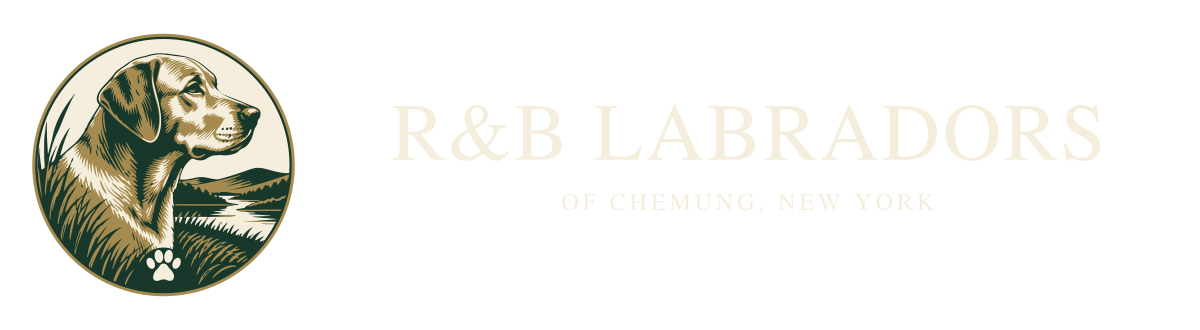 Reverse-color horizontal Chemung Sporting Crest lockup for R&B’s Labradors of Chemung