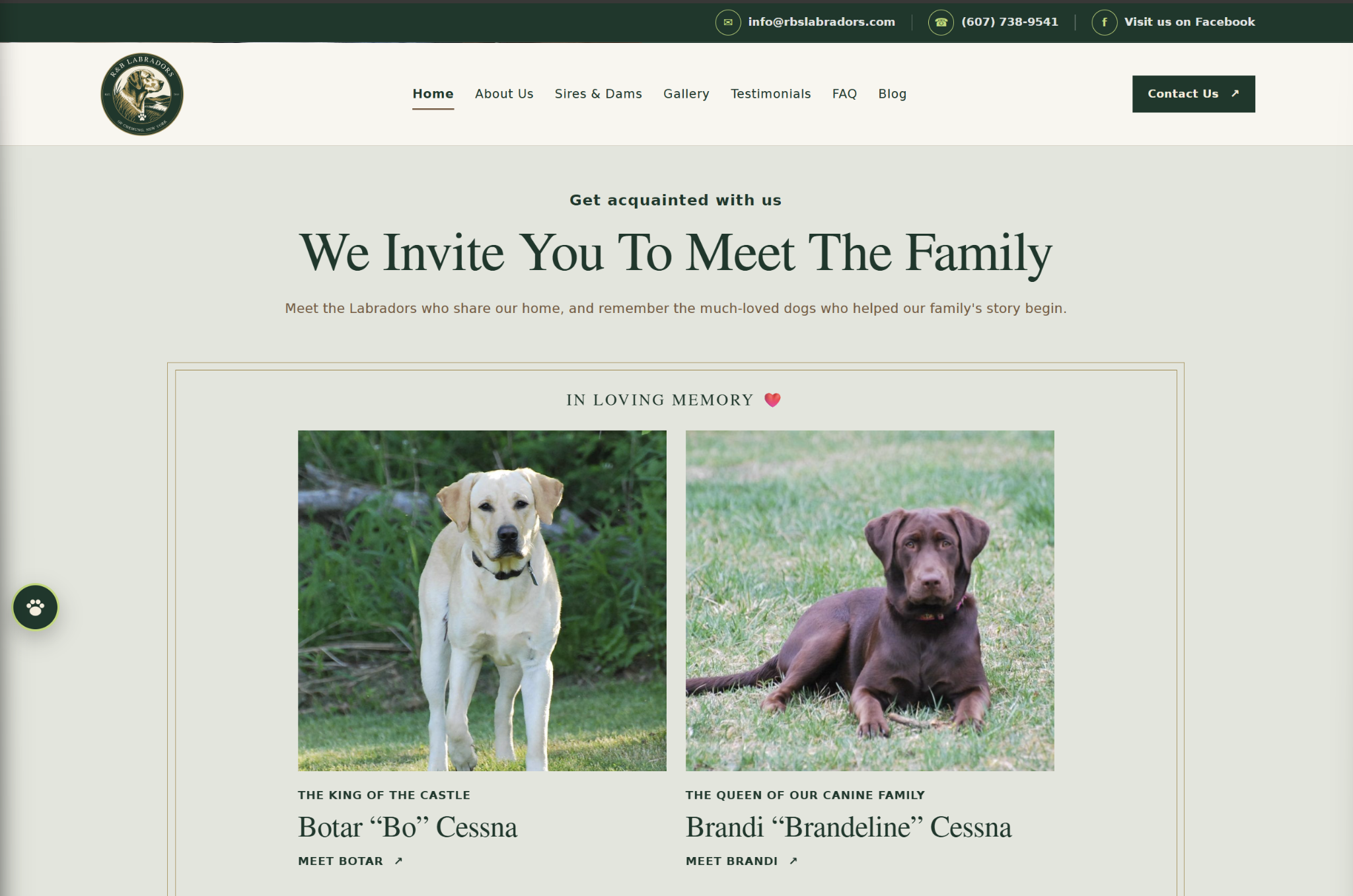 R&B’s Labradors Sires and Dams page introducing the family and honoring Bo and Brandi