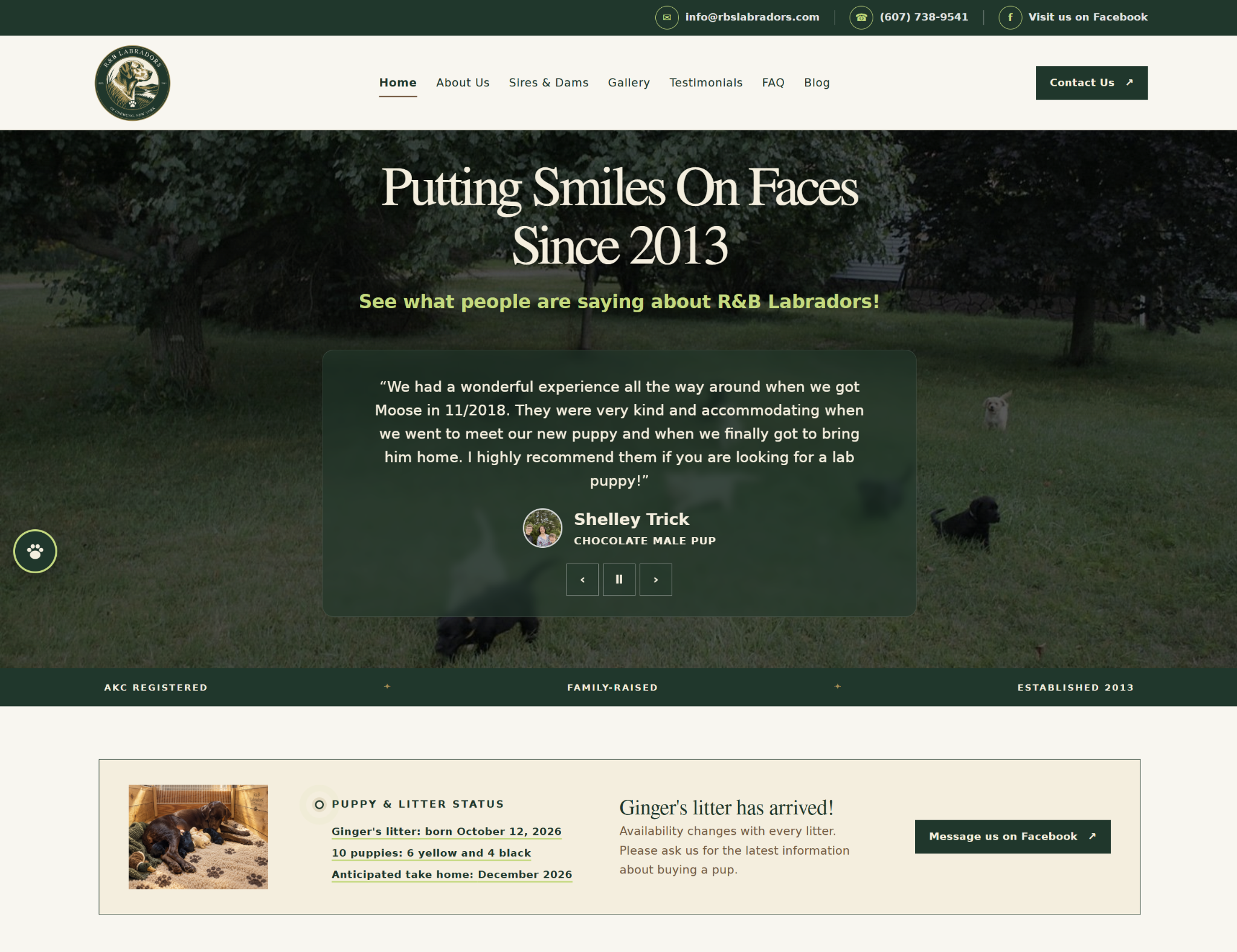 R&B’s Labradors homepage showing the testimonial experience and current litter information
